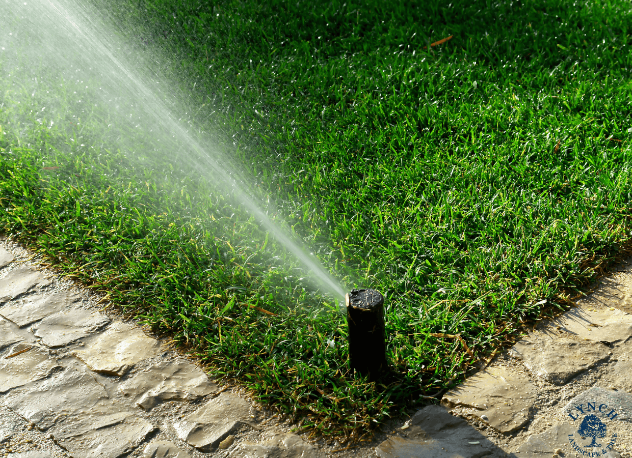 irrigation services in wayland, Sudbury, Weston.