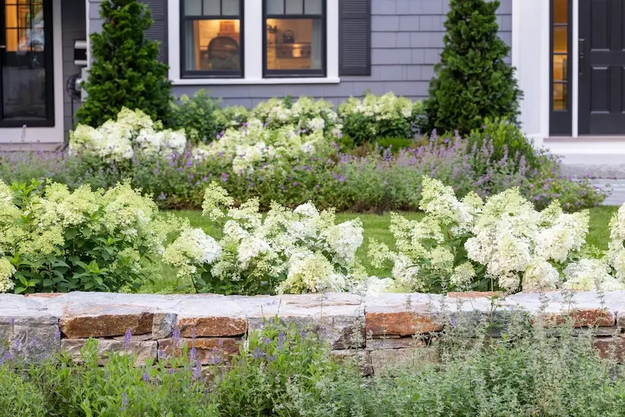 wayland ma landscape design and fine gardening